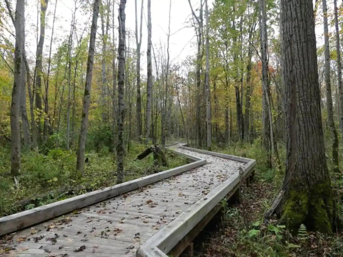 Pet Friendly Condos At Friday Harbour Innisfil Exterior foto